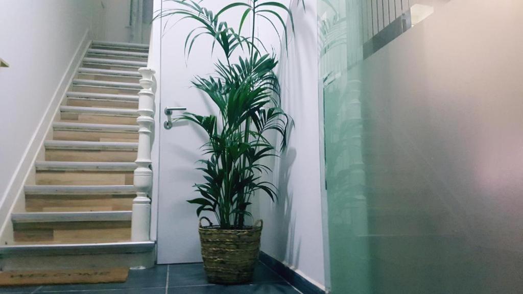 Cozy Rooms With Share The Bathroom And Kitchen Brüksel Dış mekan fotoğraf